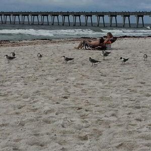 Meet your Posher, Janie